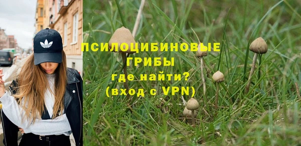 наркотики Бородино