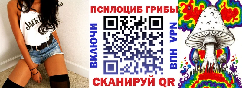 Псилоцибиновые грибы мицелий  кракен онион  Кущёвская 